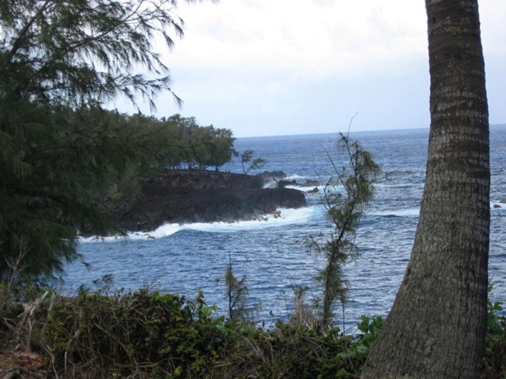 Coconut Palms Vacation Rental near lava fields&beaches Kehena Esterno foto