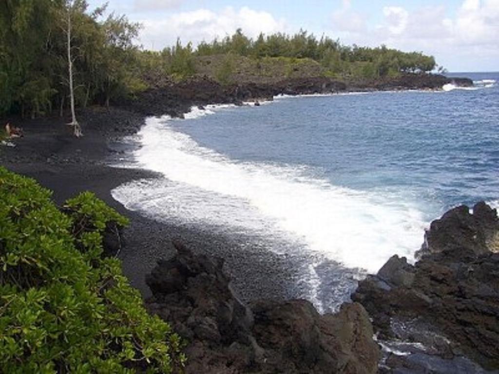 Coconut Palms Vacation Rental near lava fields&beaches Kehena Esterno foto