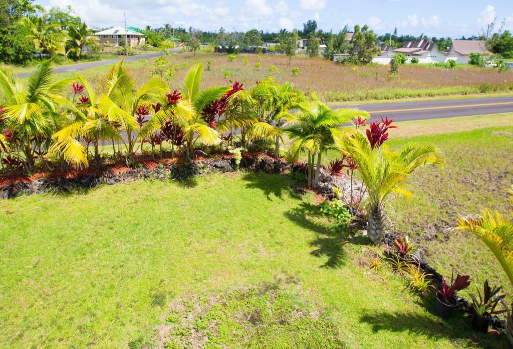 Coconut Palms Vacation Rental near lava fields&beaches Kehena Esterno foto