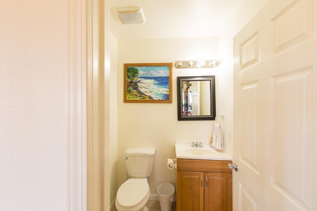 Coconut Palms Vacation Rental near lava fields&beaches Kehena Esterno foto