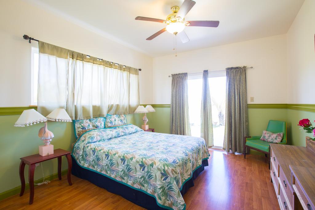 Coconut Palms Vacation Rental near lava fields&beaches Kehena Esterno foto