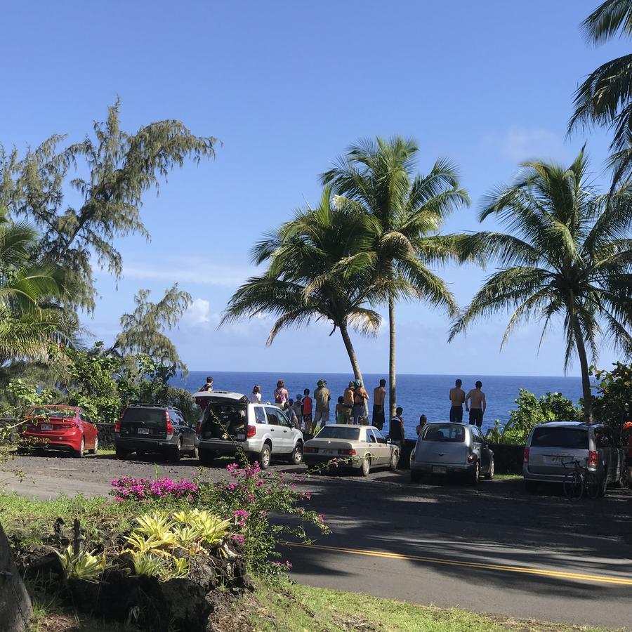 Coconut Palms Vacation Rental near lava fields&beaches Kehena Esterno foto