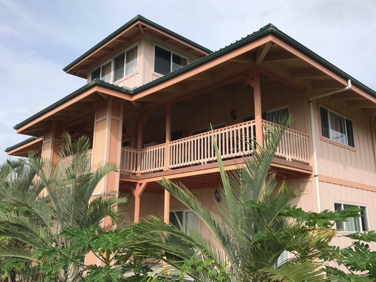Coconut Palms Vacation Rental near lava fields&beaches Kehena Esterno foto