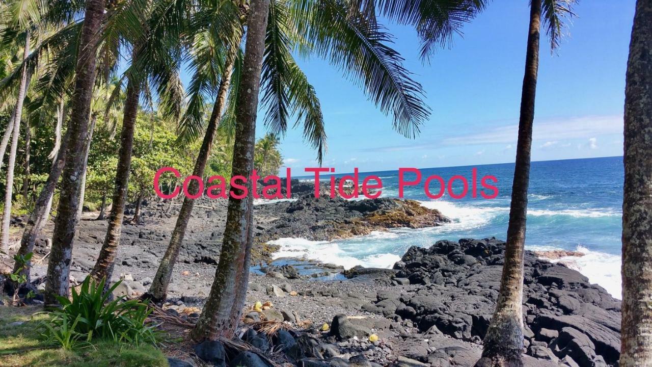 Coconut Palms Vacation Rental near lava fields&beaches Kehena Esterno foto